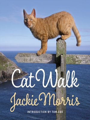cover image of Cat Walk